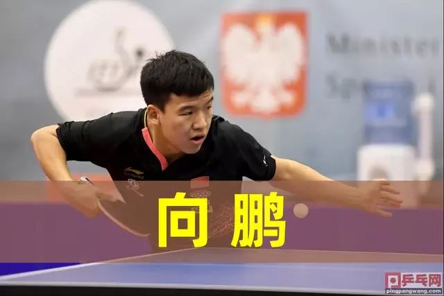 案例分析 案例分析