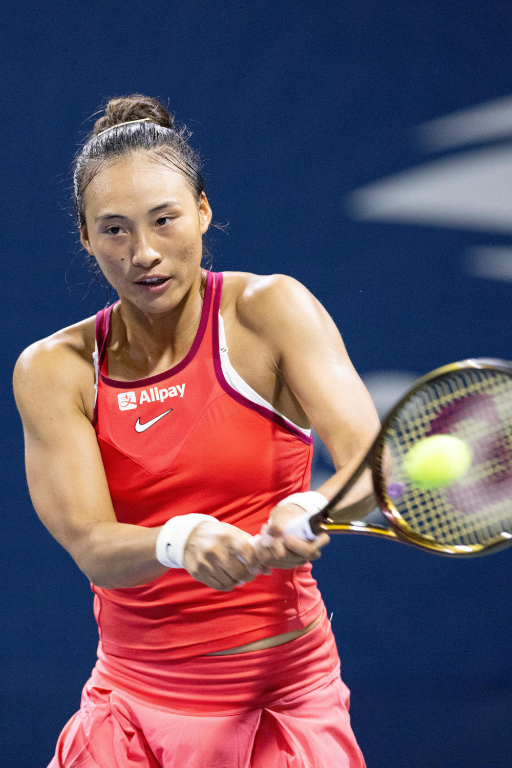 的奋斗历程 的奋斗历程