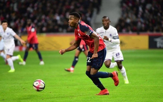 态将成为他 态将成为他