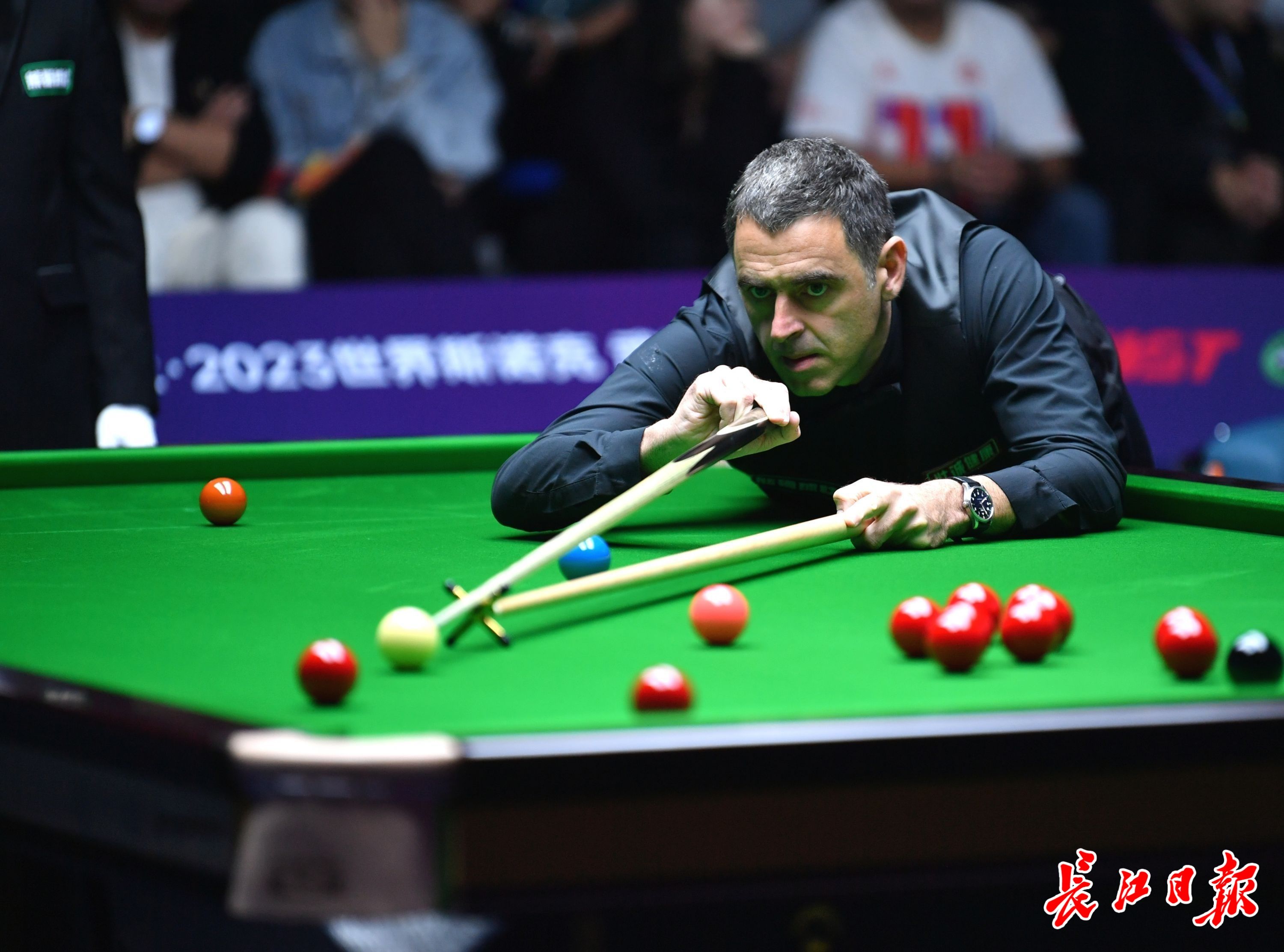 要更多选择 要更多选择