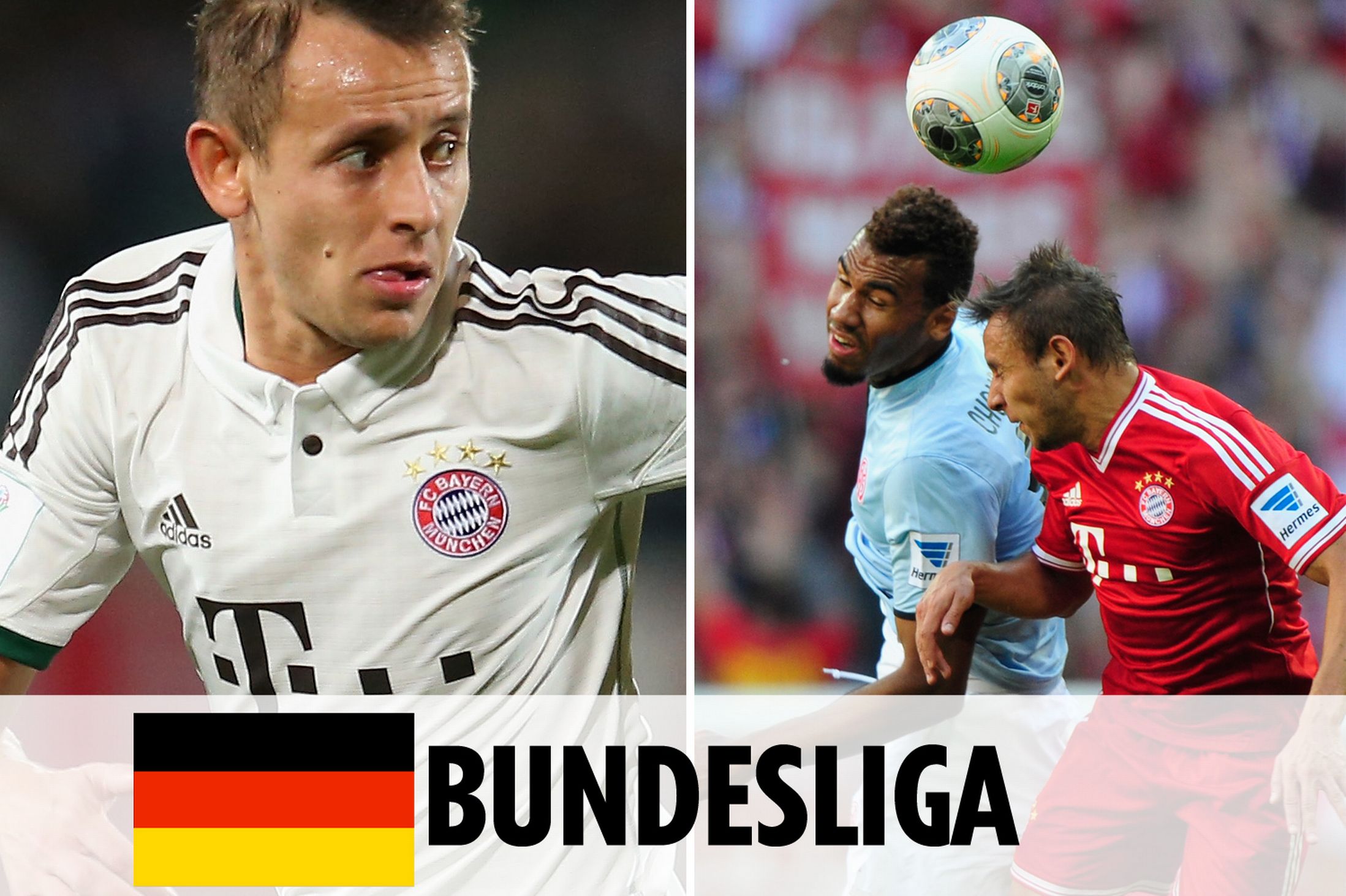 而佛罗里达 而佛罗里达